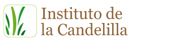 Candelilla Institute